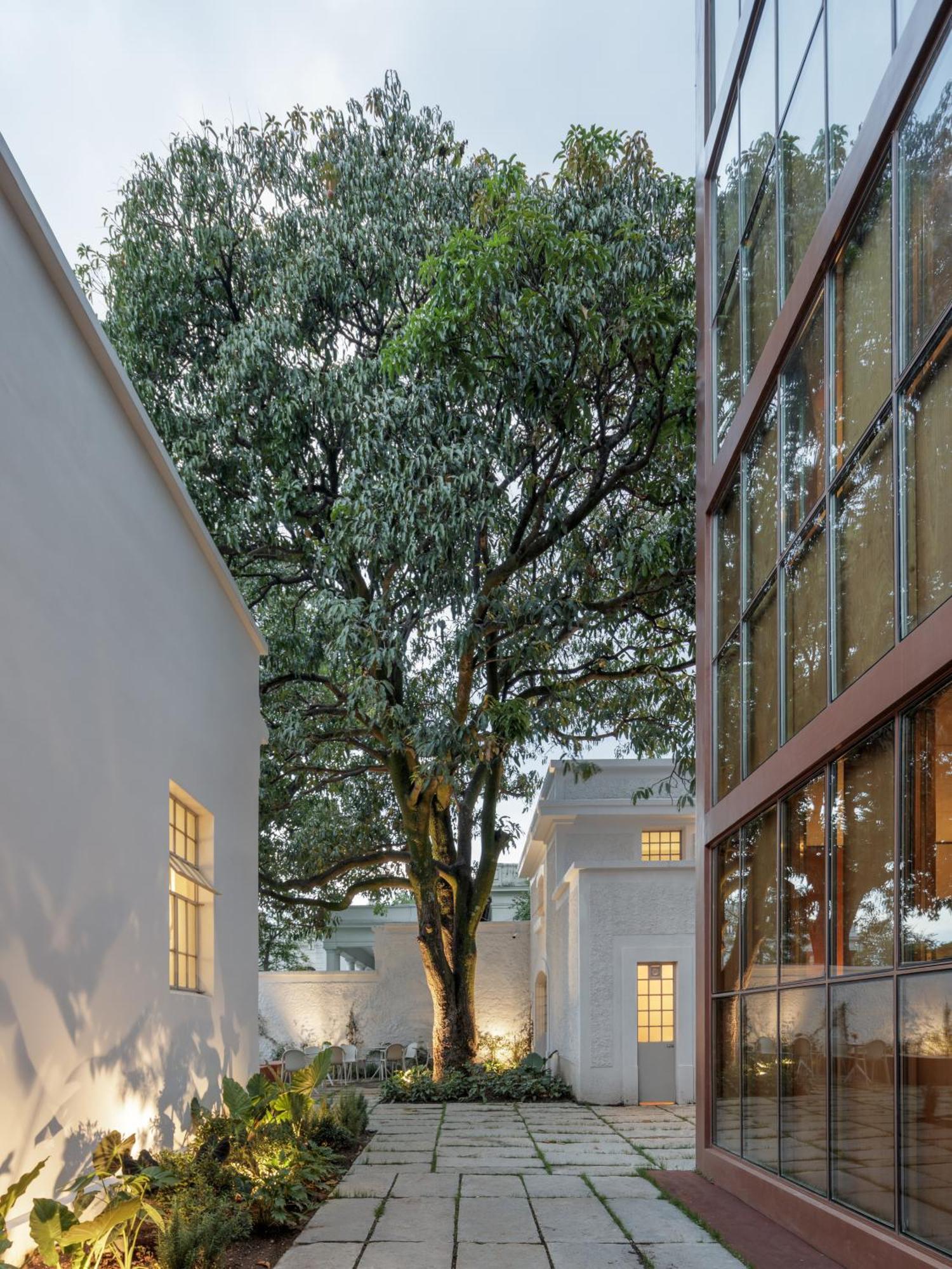 Casa Bosque Eduviges Guadalajara
