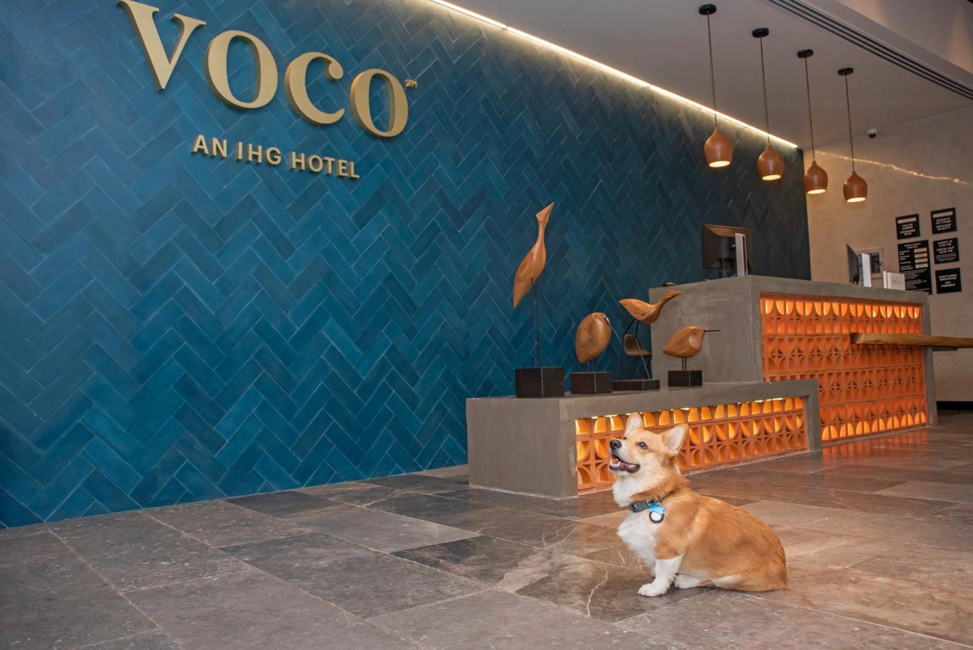 Hotel Voco - Neruda, An Ihg 4*