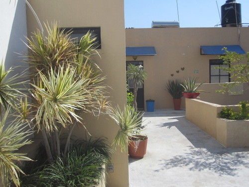 Hostal Mezcalito Blue