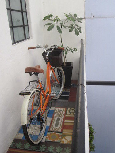 Hostal Mezcalito Blue *
