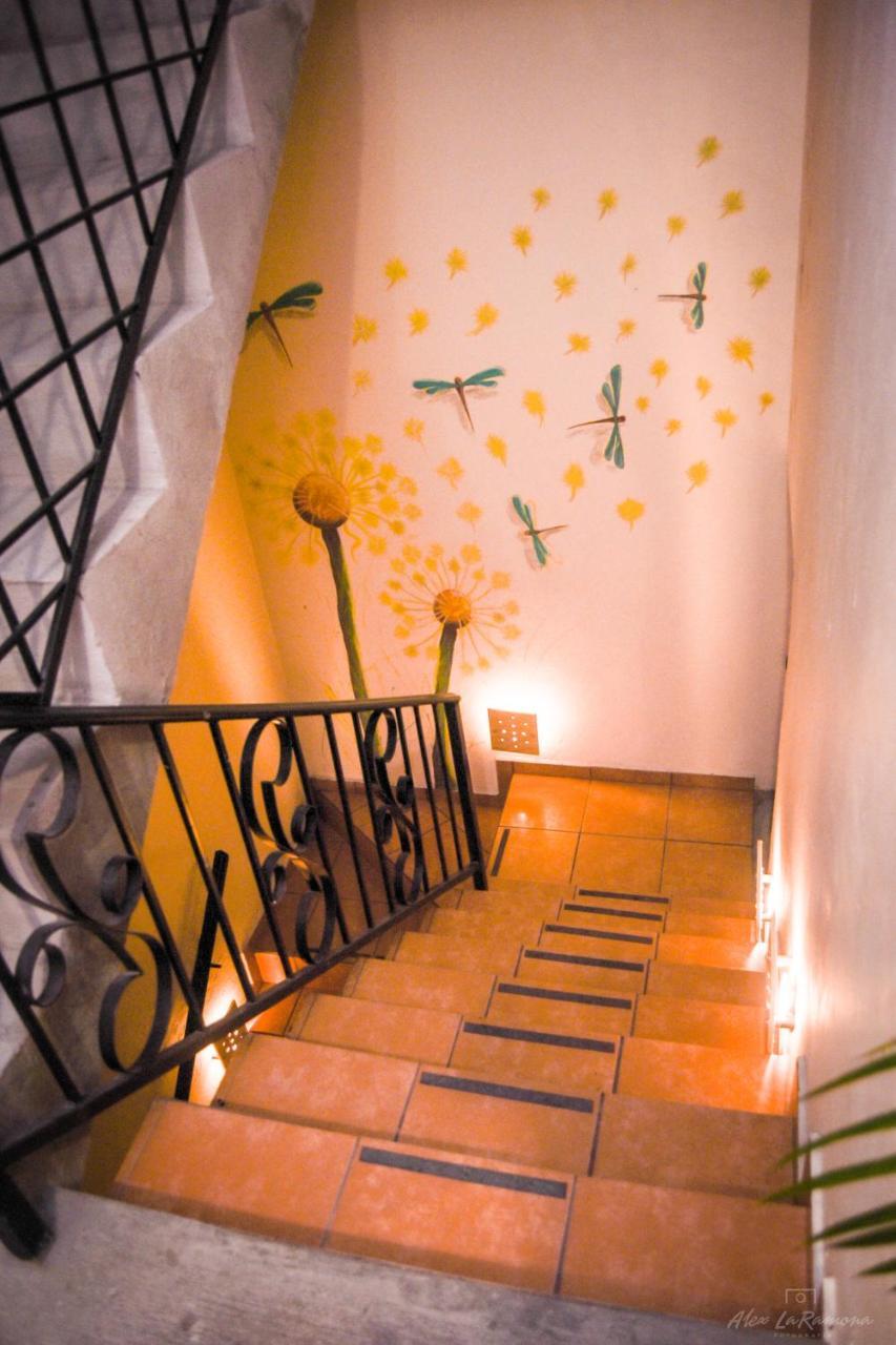 La Casa De Las Libélulas Pensión Guadalajara