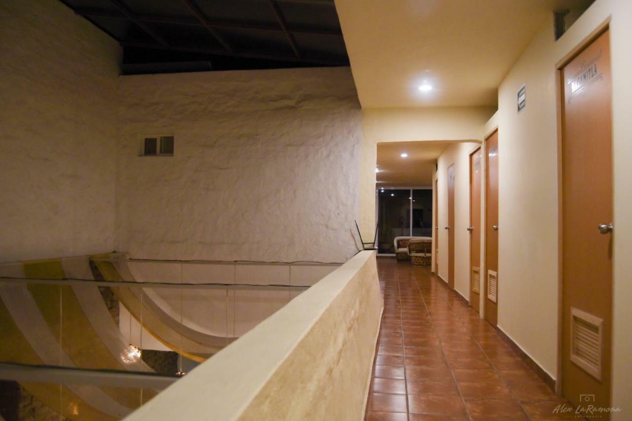 La Casa De Las Libélulas Pensión Guadalajara