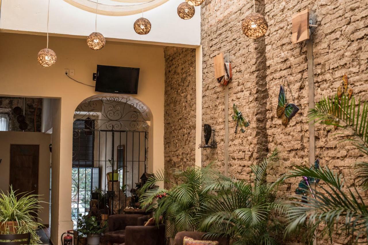 La Casa De Las Libélulas Pensión Guadalajara
