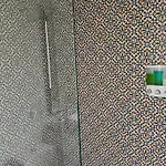 Casa Monarcas - Diana