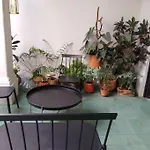 Casa Cuauhtemoc