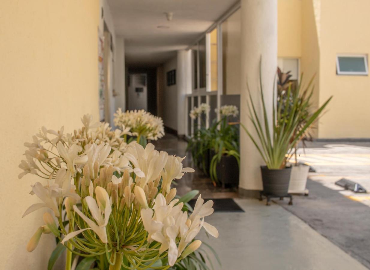 Hotel Emperador Centro Y Remodelado 3*