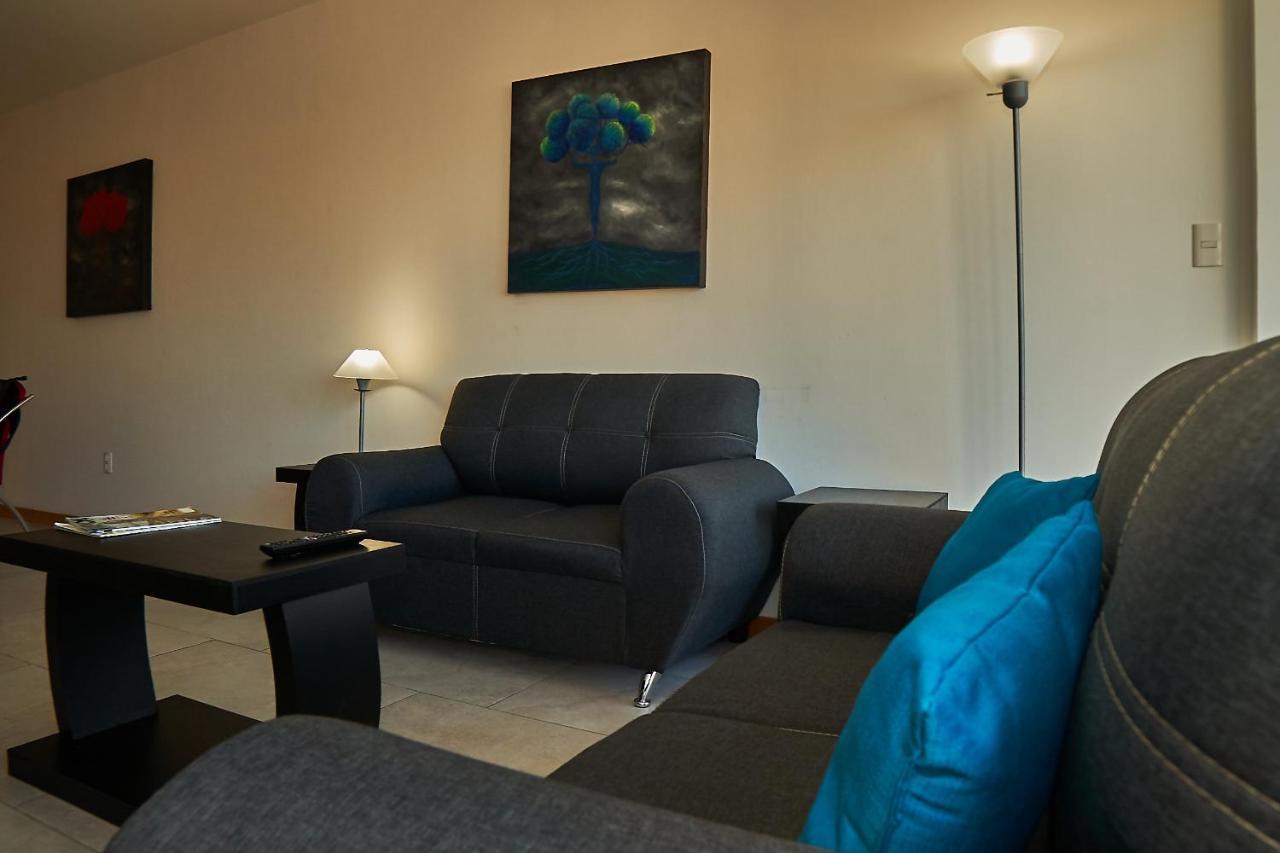Increíble Apartamento Panoramico Con Piscina, Rooftop Garden Y Terraza