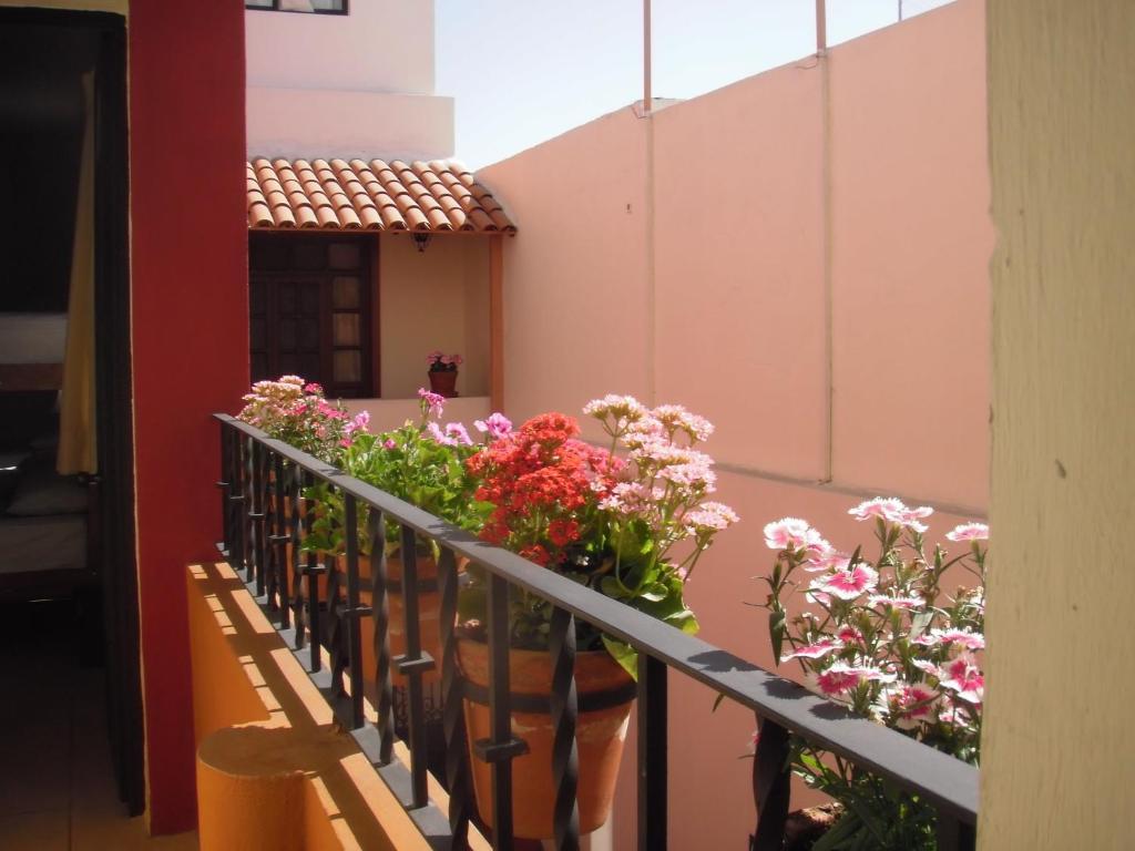 Olga Querida Hostal