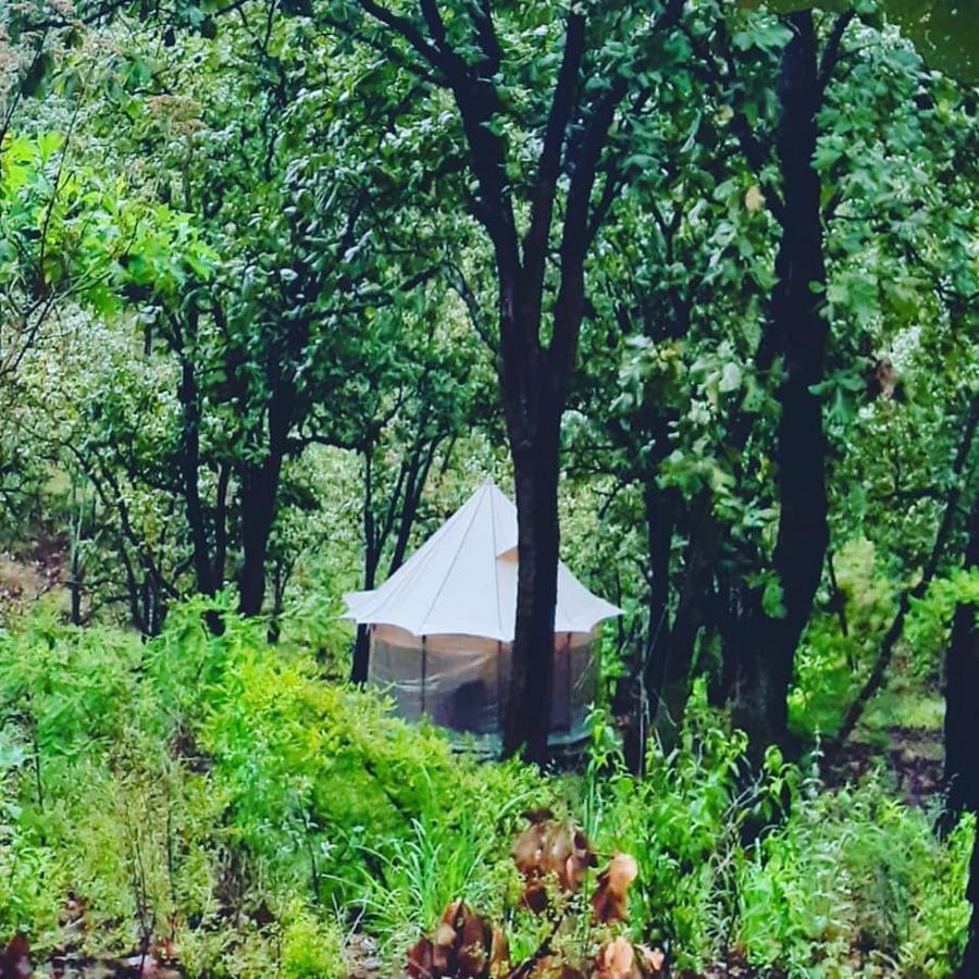 Campo de lujo Glamping y Cenas Romanticas Guadalajara