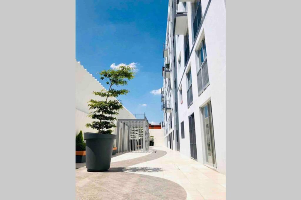 Departamento *mundo Viajero*