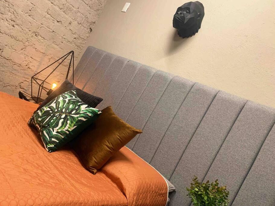 Begonias Loft ¡a 5 Min Del Auditorio Telmex! *