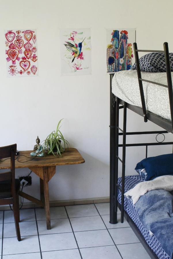 Casa Kush Wellness Hostel by Rotamundos Guadalajara