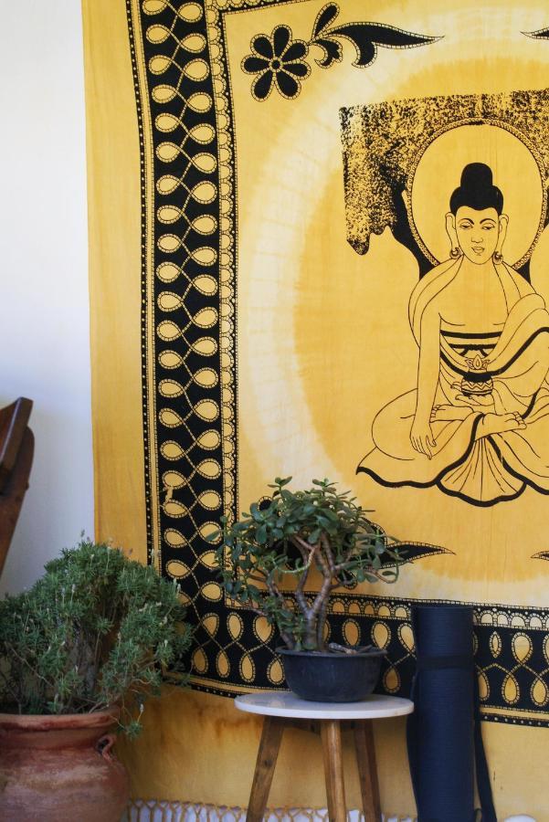 Casa Kush Wellness Hostel by Rotamundos Hostal Guadalajara