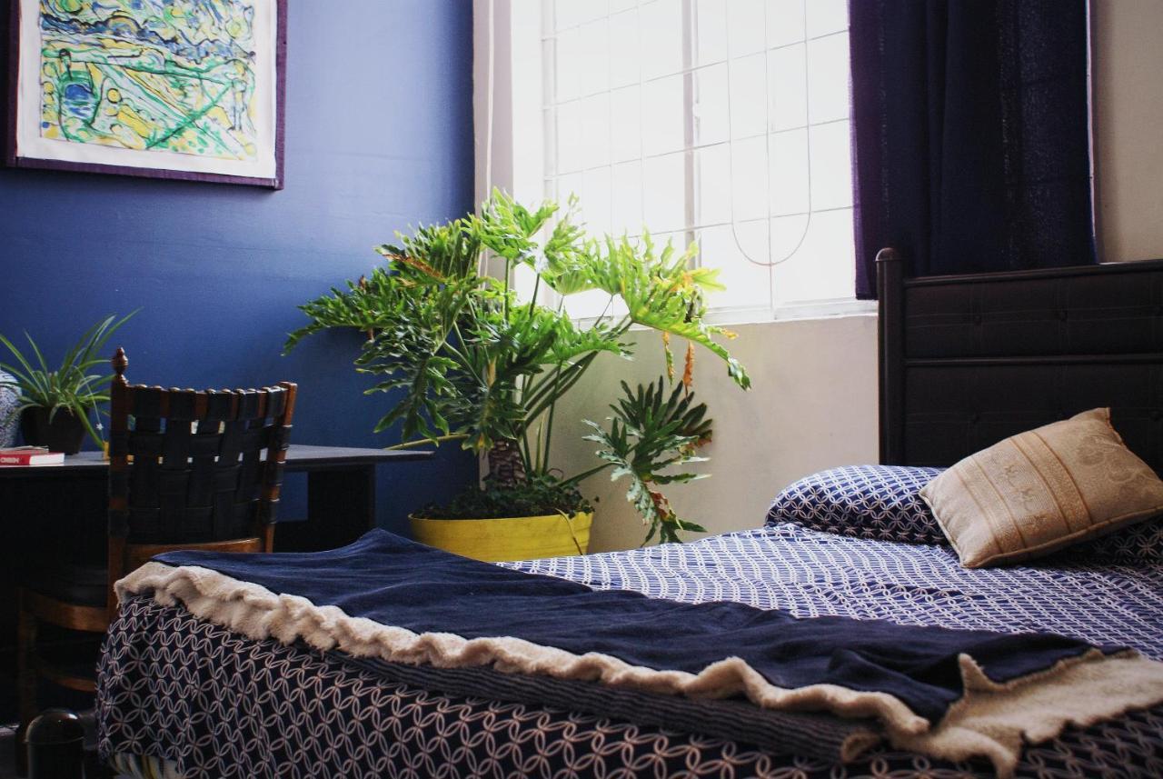 Casa Kush Wellness Hostel by Rotamundos Hostal