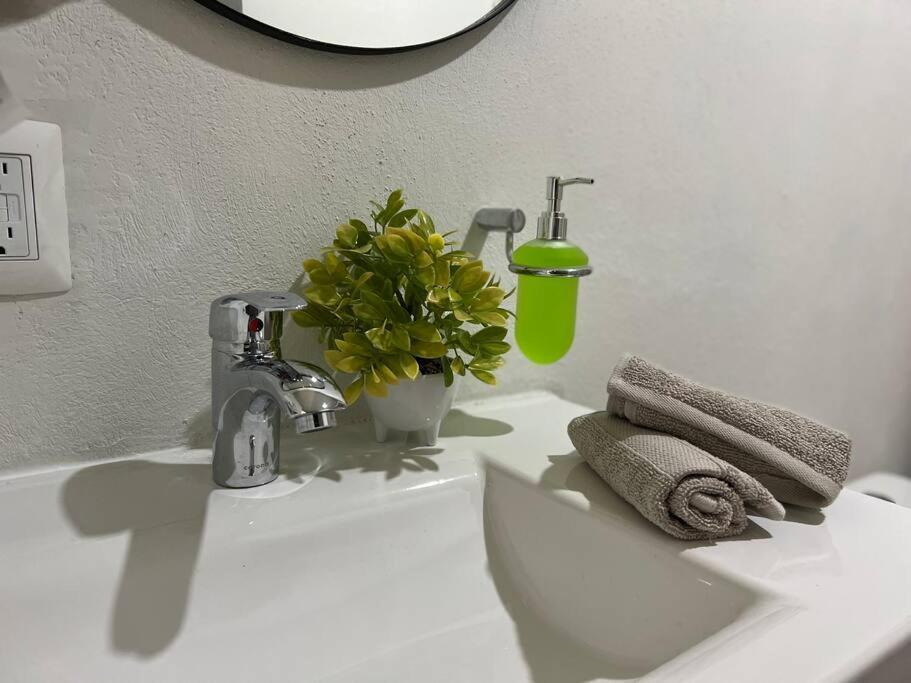 Depa Boho Al Sur Pet Friendly Piscina Gym Sala De Cine Apartamento Guadalajara