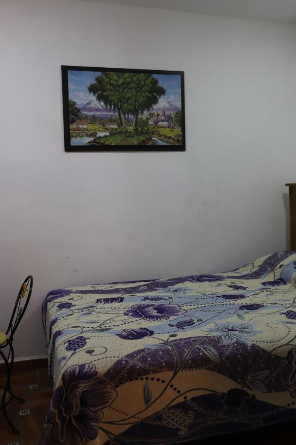 Boutique Casa Elefante Pensión Guadalajara
