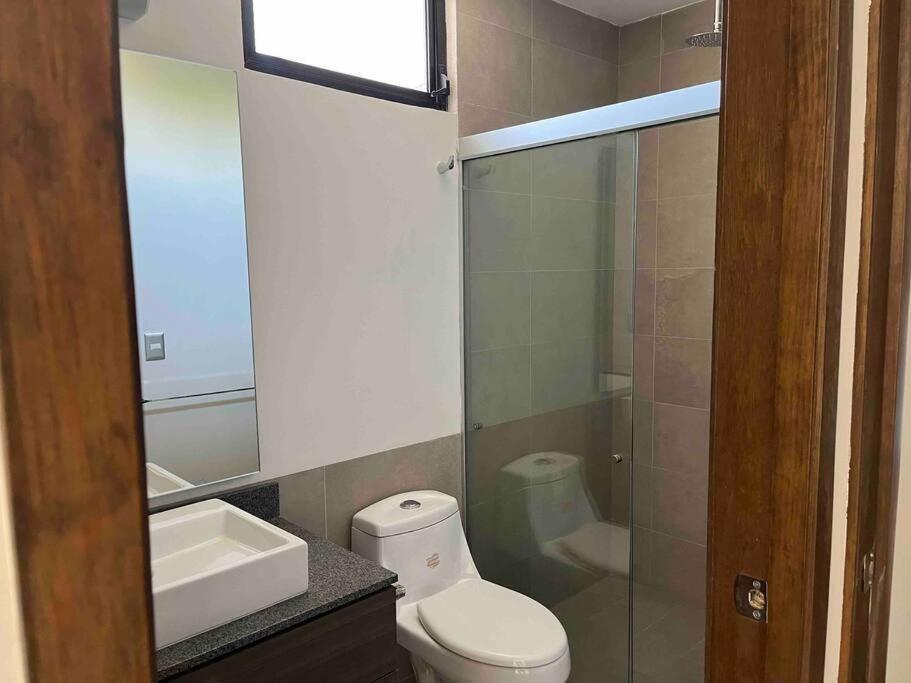 Apartamento Elegante En Zona Financiera / Limpieza Diaria