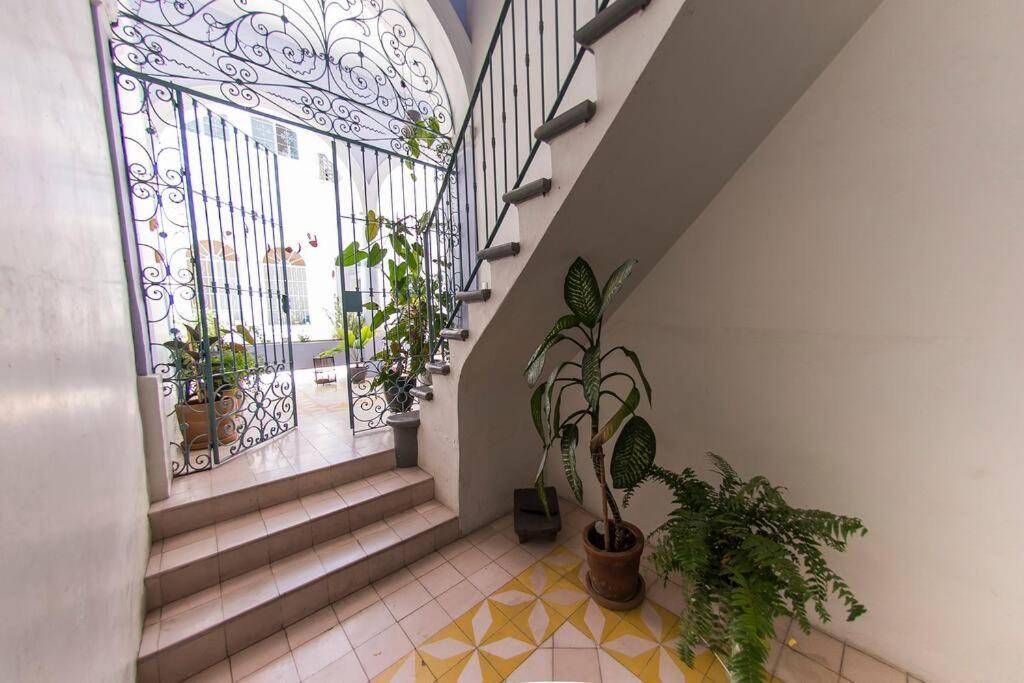 Apartamento Hermoso Departamento En El Centro De