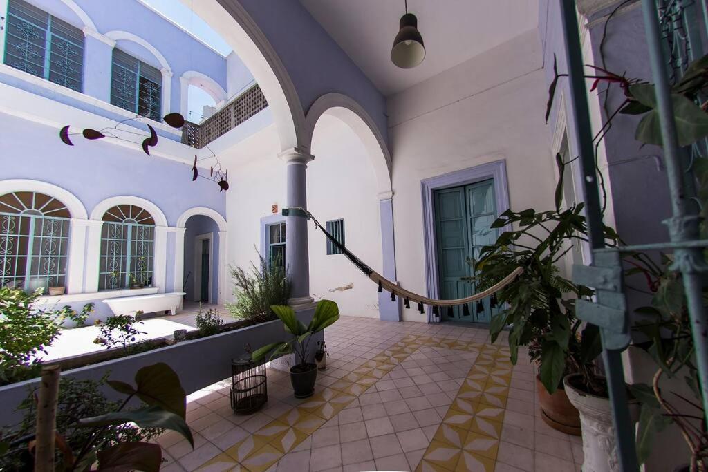 Hermoso Departamento En El Centro De Apartamento