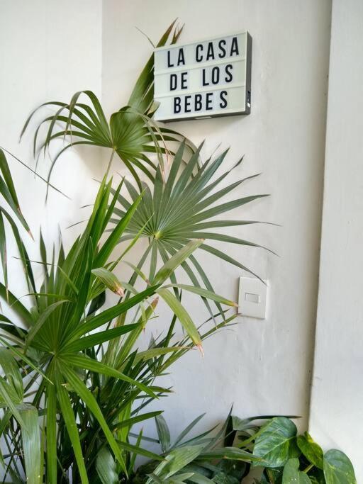 Casa Cuauhtemoc *