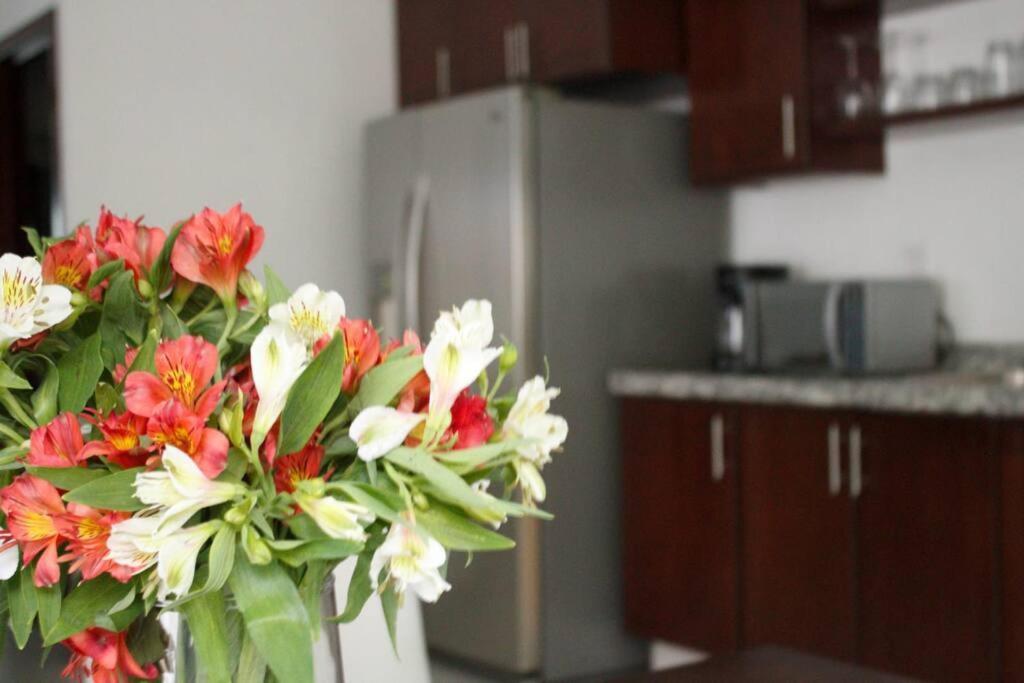 Apartamento Hermoso Departamento Con Una Excelente Ubicacion *