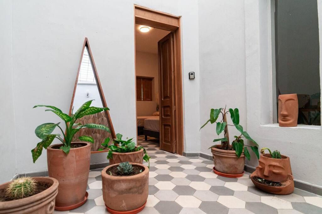 Сasa de vacaciones Casa Del Desierto *