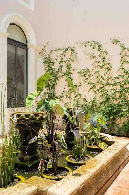 Increible Loft En Centro Historico De Apartamento *