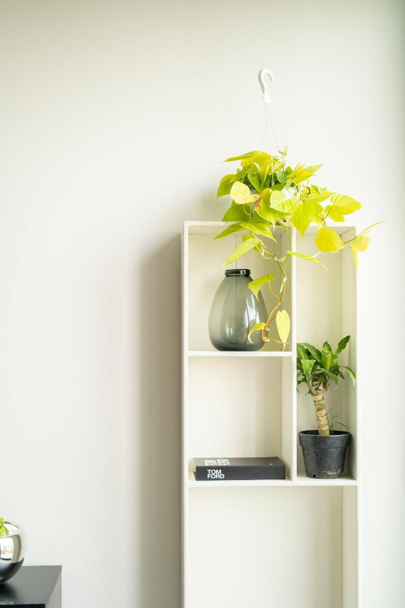 Apartamento Excelente Ubicacion Departamento De 2 Guadalajara