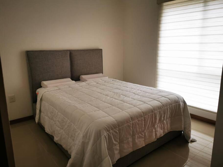Escenia Loft Deluxe Guadalajara