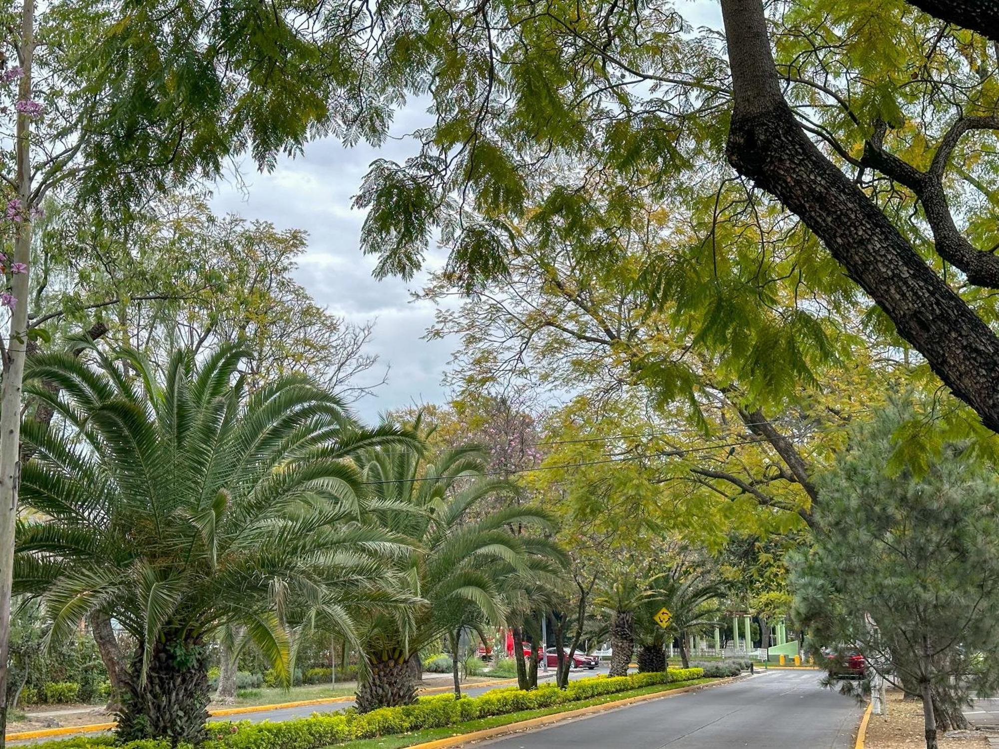 Estudio De Dos Camas Centrico En Chapalita 13 Apartamento Guadalajara