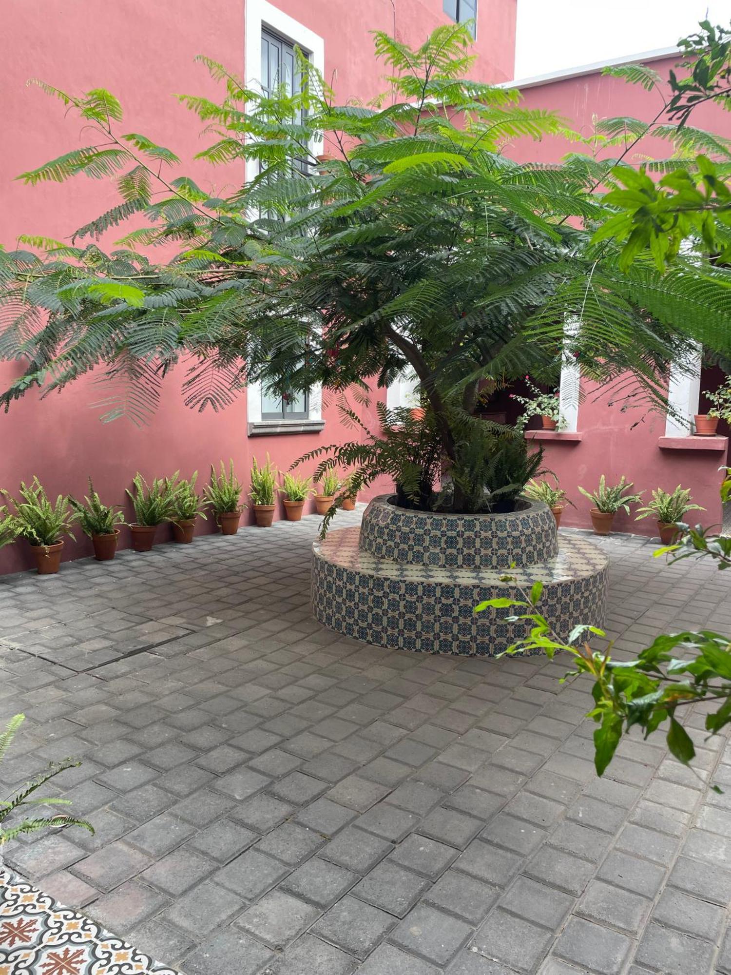 Quinta La Perla Hostal Guadalajara