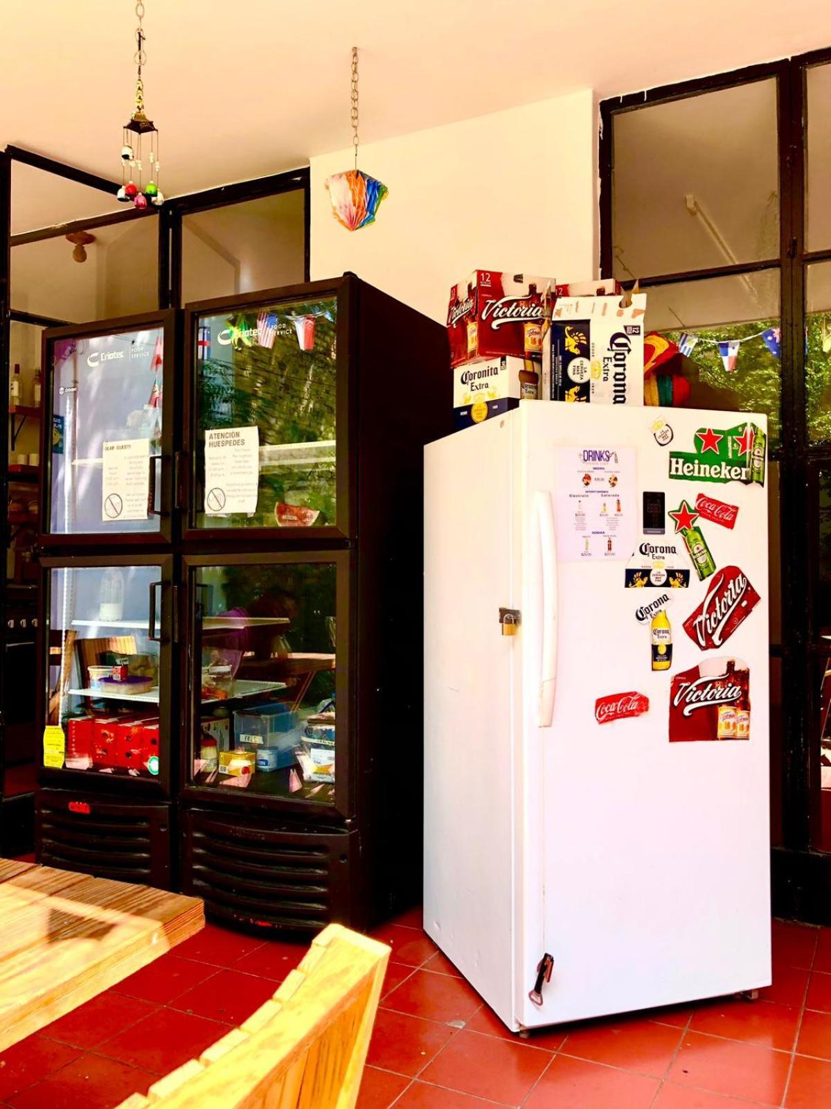 Leveli Coliving Guadalajara