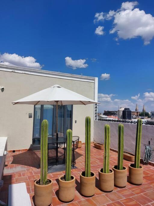 Casa Monarcas - Diana Apartamento *
