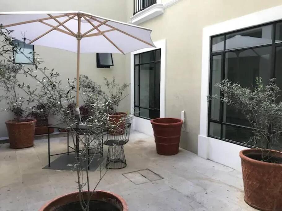 Casa Monarcas - Diana Apartamento *