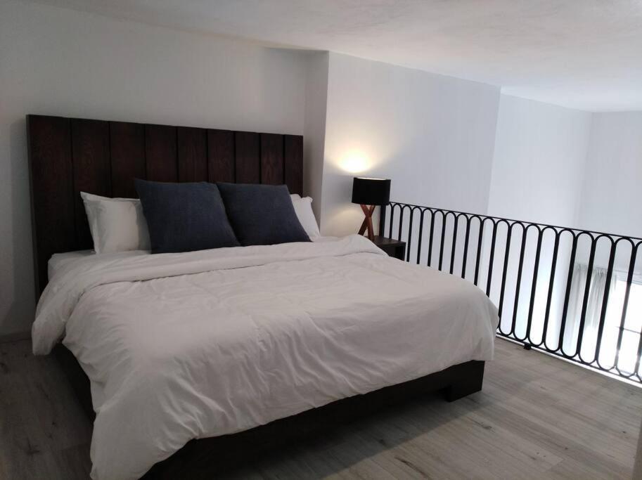 Casa Monarcas - Josefina *