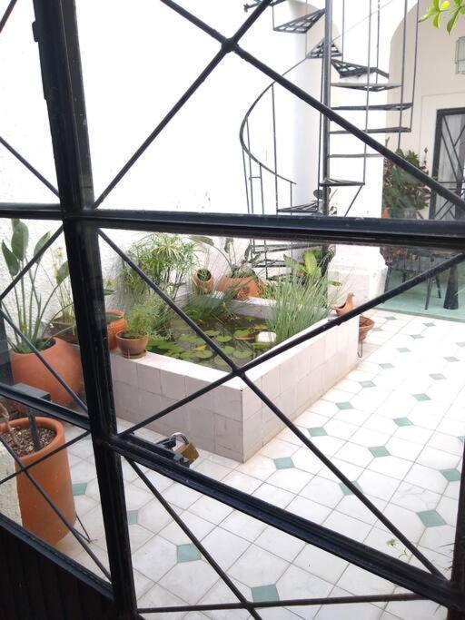 Сasa de vacaciones Casa Cuauhtemoc *