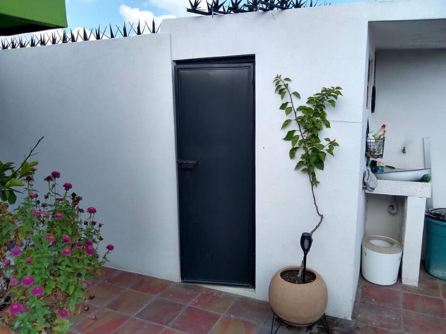 Casa Cuauhtemoc Сasa de vacaciones *