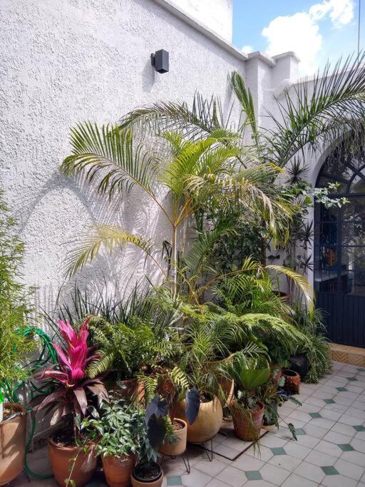 Сasa de vacaciones Casa Cuauhtemoc