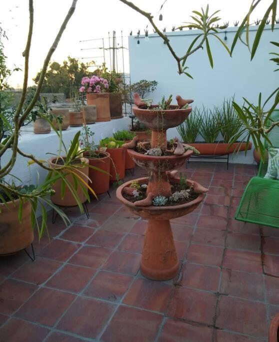 Сasa de vacaciones Casa Cuauhtemoc