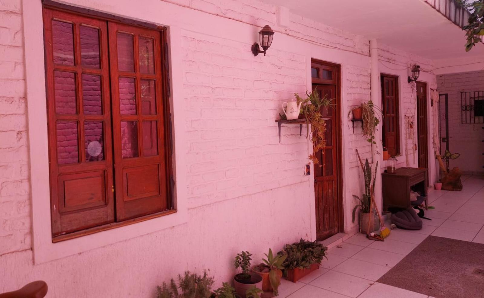 Pink House