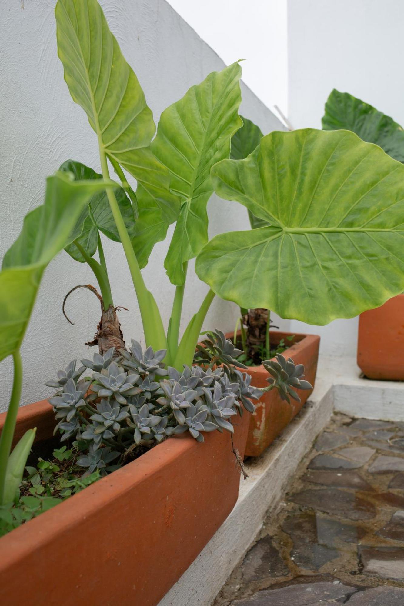 Centrico Departamento De 3