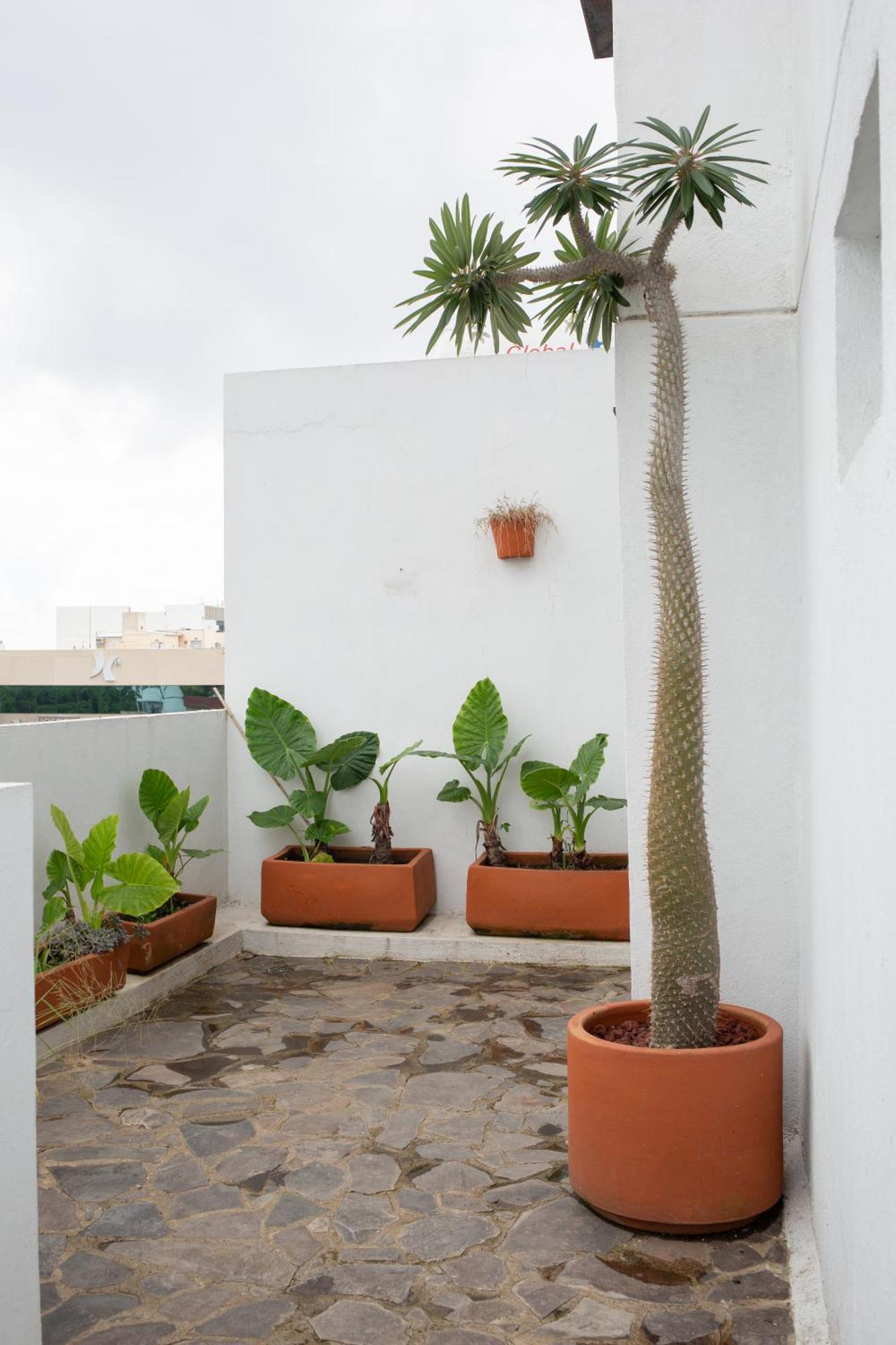 Centrico Departamento De 3 *