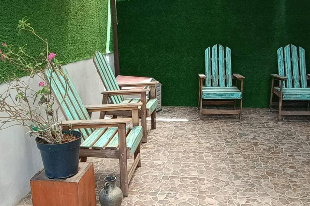 Apartamento Depto Planta Baja Con Patio *
