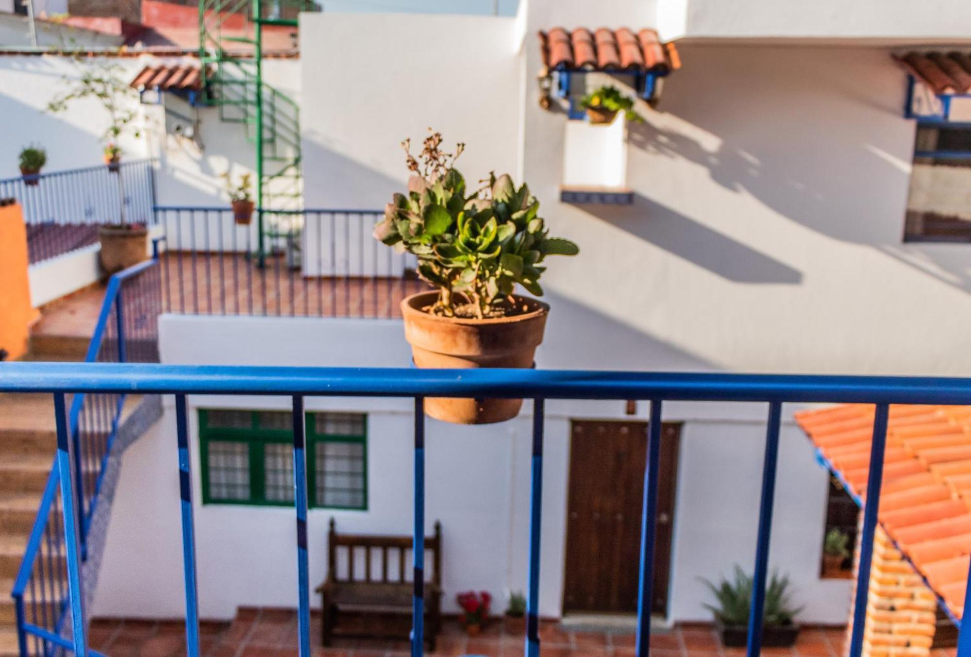 Casa De -la Abadia De San Pedro Homestay *