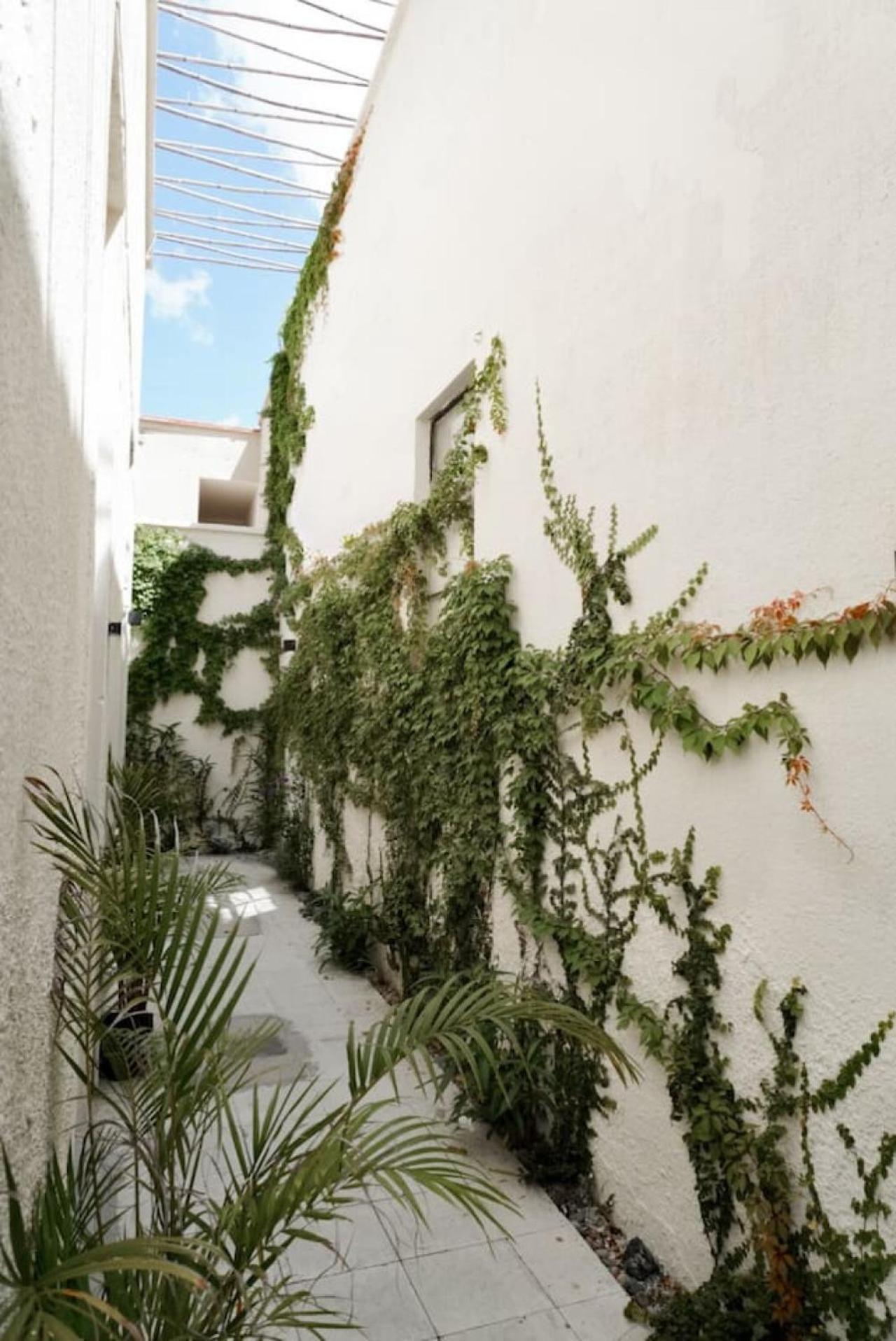 Casona Enfrente Del Santuario 6 Сasa de vacaciones Guadalajara