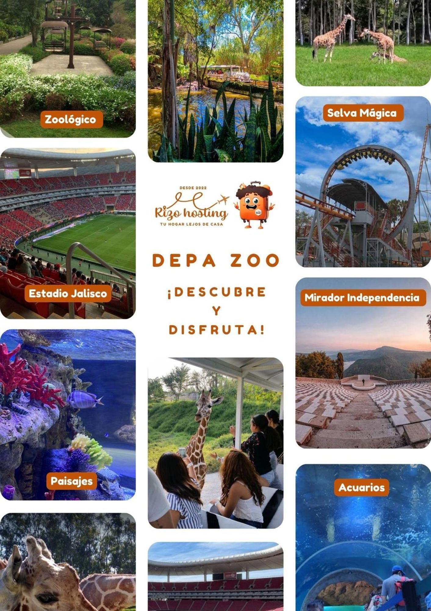 Apartamento Departamento Cerca De Zoologico Y Estadio Jalisco