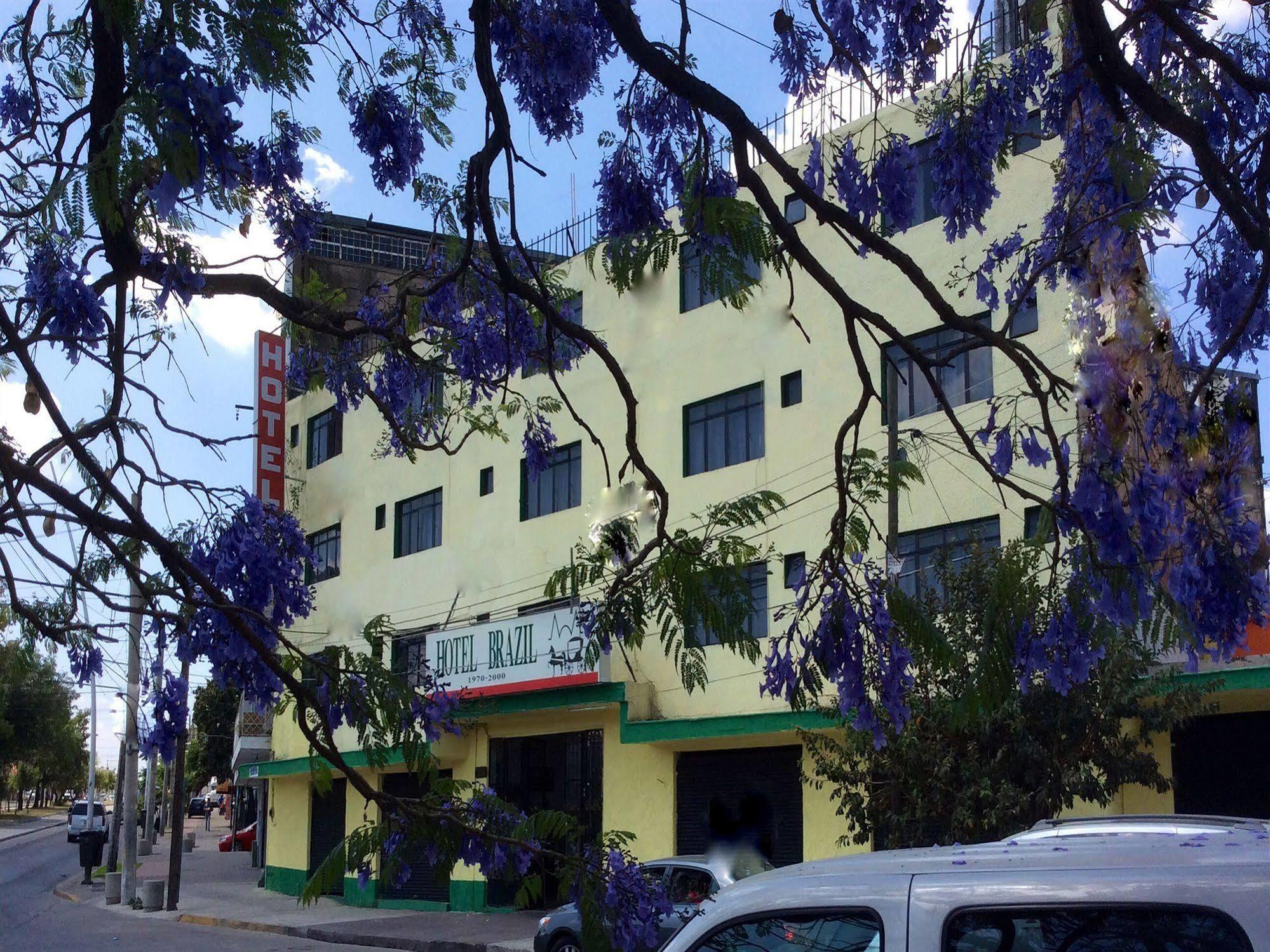 Hotel Oyo Brazil,guadalajara,estadio Jalisco