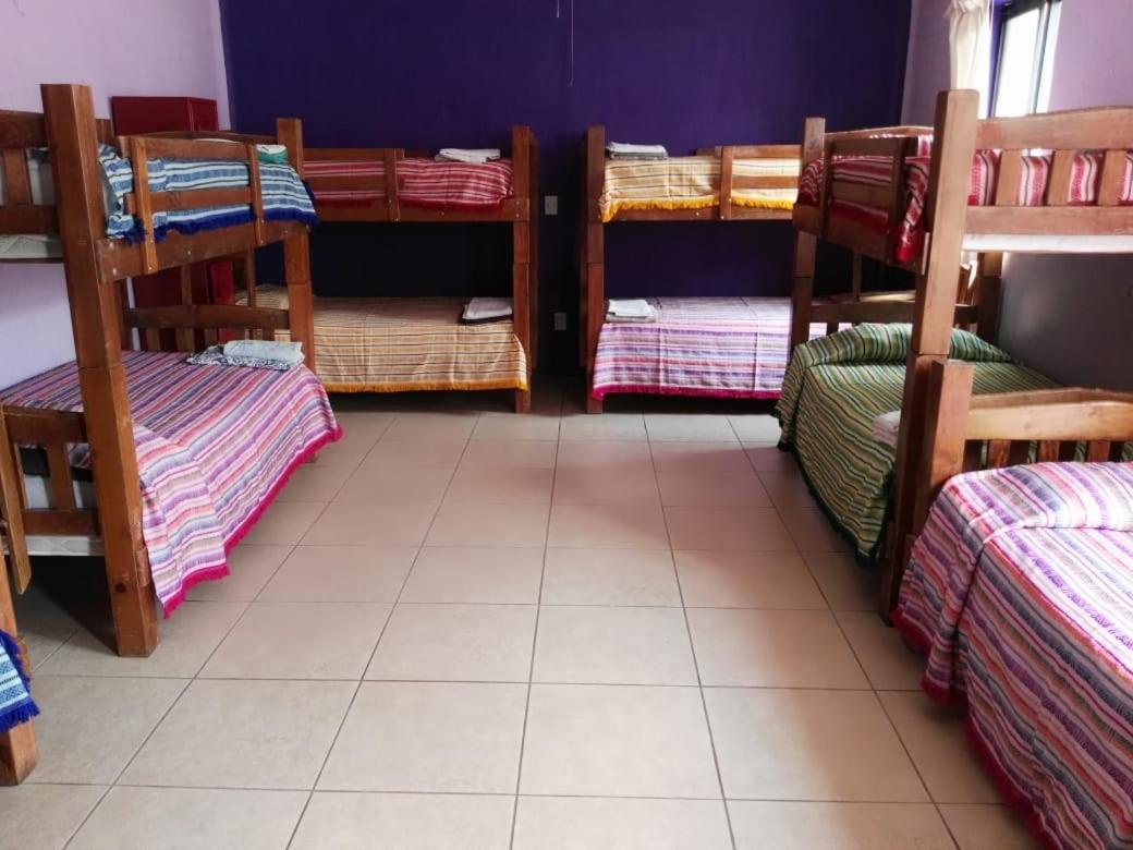 Olga Querida Hostal