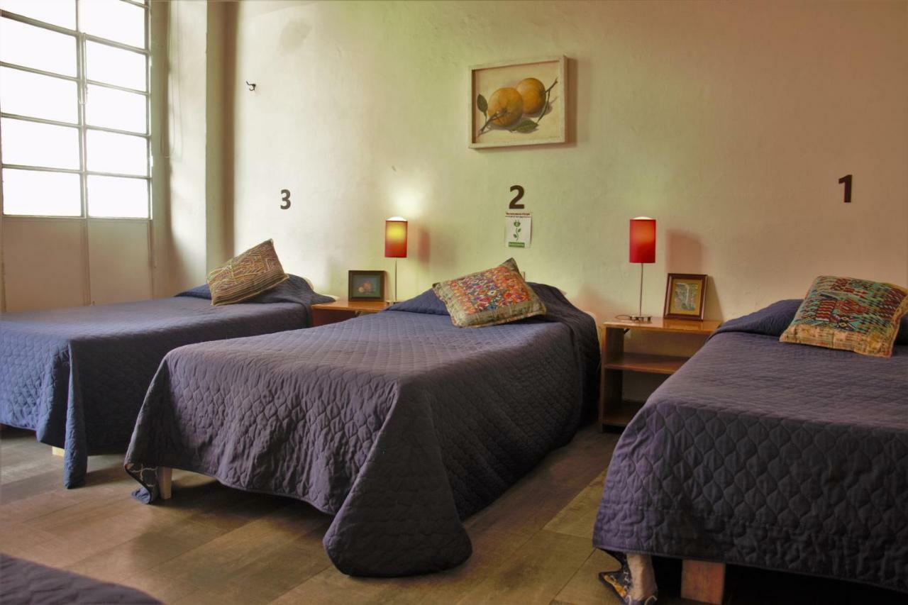 Lit Hostal