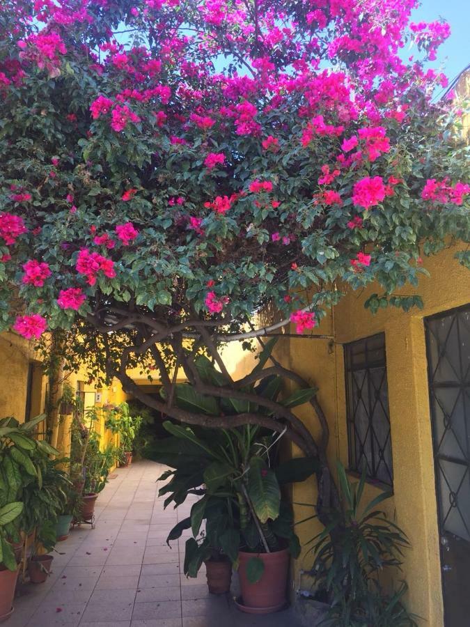 Apartamento 675 Calle Ignacio Herrera Y Cairo Guadalajara
